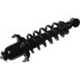 Autopart International Strut/Coil Spring Assy 2701710325