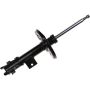 Autopart International Strut Assembly 2701711419