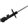 Autopart International Strut Assembly 2701711491