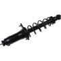 Autopart International Strut/Coil Spring Assy 2701711659