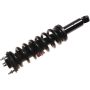 Autopart International Strut/Coil Spring Assy 2701717808