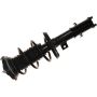 Autopart International Strut/Coil Spring Assy 2701717813