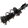 Autopart International Strut/Coil Spring Assy 2701717815