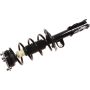 Autopart International Strut/Coil Spring Assy 2701717825