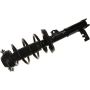 Autopart International Strut/Coil Spring Assy 2701717828