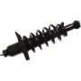 Autopart International Strut/Coil Spring Assy 2701717834