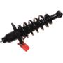 Autopart International Strut/Coil Spring Assy 2701717835