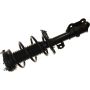 Autopart International Strut/Coil Spring Assy 2701717839