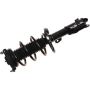 Autopart International Strut/Coil Spring Assy 2701717843