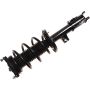 Autopart International Strut/Coil Spring Assy 2701717846