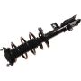 Autopart International Strut/Coil Spring Assy 2701717851