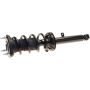 Autopart International Strut/Coil Spring Assy 2701717856