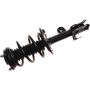Autopart International Strut/Coil Spring Assy 2701717861