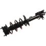Autopart International Strut/Coil Spring Assy 2701717862