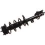 Autopart International Strut/Coil Spring Assy 2701717863