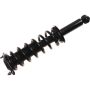 Autopart International Strut/Coil Spring Assy 2701717873