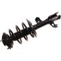 Autopart International Strut/Coil Spring Assy 2701717878