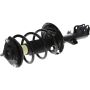 Autopart International Strut/Coil Spring Assy 2701717883