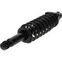 Autopart International Strut/Coil Spring Assy 2701718450