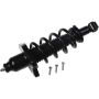 Autopart International Strut/Coil Spring Assy 2701720315