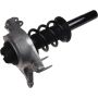 Autopart International Strut/Coil Spring Assy 2701720317