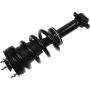 Autopart International Strut/Coil Spring Assy 2701720332