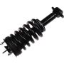 Autopart International Strut/Coil Spring Assy 2701720334
