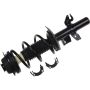 Autopart International Strut/Coil Spring Assy 2701720337