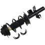 Autopart International Strut/Coil Spring Assy 2701720338