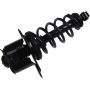 Autopart International Strut/Coil Spring Assy 2701720345