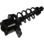 Autopart International Strut/Coil Spring Assy 2701720346