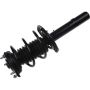 Autopart International Strut/Coil Spring Assy 2701720352