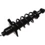 Autopart International Strut/Coil Spring Assy 2701720356