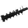 Autopart International Strut/Coil Spring Assy 2701720359