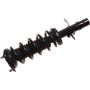 Autopart International Strut/Coil Spring Assy 2701720361
