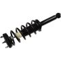 Autopart International Strut/Coil Spring Assy 2701720362