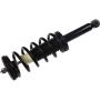 Autopart International Strut/Coil Spring Assy 2701720363