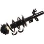Autopart International Strut/Coil Spring Assy 2701720365