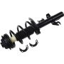 Autopart International Strut/Coil Spring Assy 2701720366