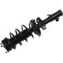Autopart International Strut/Coil Spring Assy 2701720377