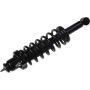 Autopart International Strut/Coil Spring Assy 2701720381