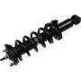 Autopart International Strut/Coil Spring Assy 2701720384