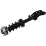 Autopart International Strut/Coil Spring Assy 2701720389