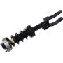Autopart International Strut/Coil Spring Assy 2701720390