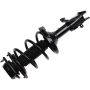 Autopart International Strut/Coil Spring Assy 2701720394