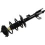 Autopart International Strut/Coil Spring Assy 2701720398