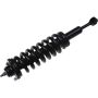 Autopart International Strut/Coil Spring Assy 2701720404