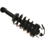 Autopart International Strut/Coil Spring Assy 2701729955