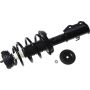 Autopart International Strut/Coil Spring Assy 2701730411