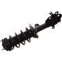 Autopart International Strut/Coil Spring Assy 2701730412